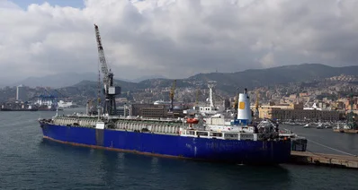 Advisory services for gas suppliers: capacity, tariff optimization, and entry strategy