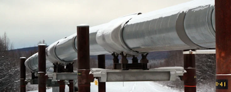 Advisory expertise in the natural gas market