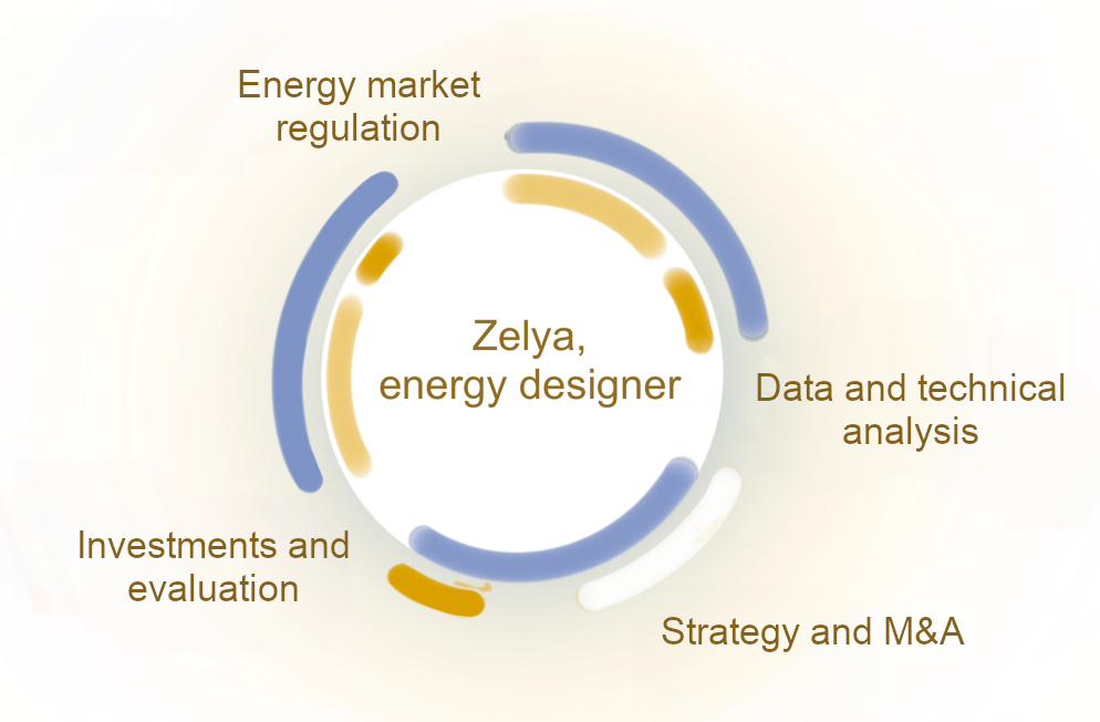 Zelya's expertise in energy, gas consulting, electricity, applications and digitalization